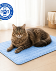 Bescherm je kat tegen hitteberoerte met de By Sofie™ koelmat