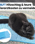 Bescherm je kat tegen hitteberoerte met de By Sofie™ koelmat
